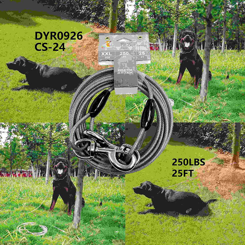 DYR0926